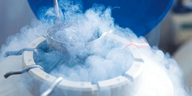 Cryopreservation process