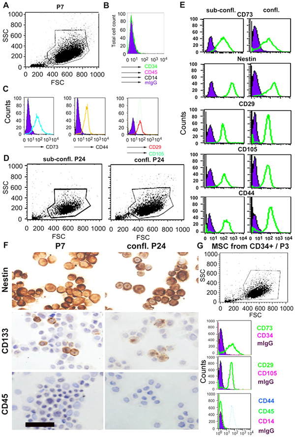 NAS : Significant progress! Found placental stem cells can regenerate heart, promising new stem cell therapy to treat heart disease